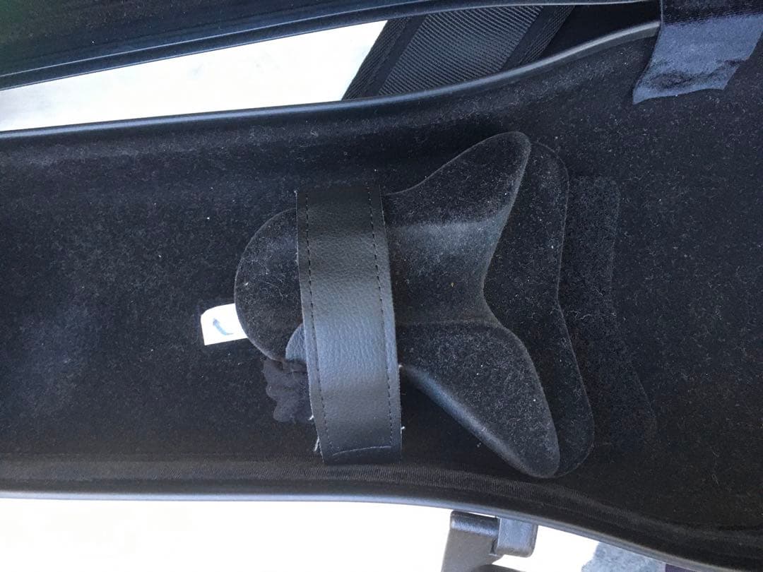 PURE GEWA カーボンファイバー バイオリンケース