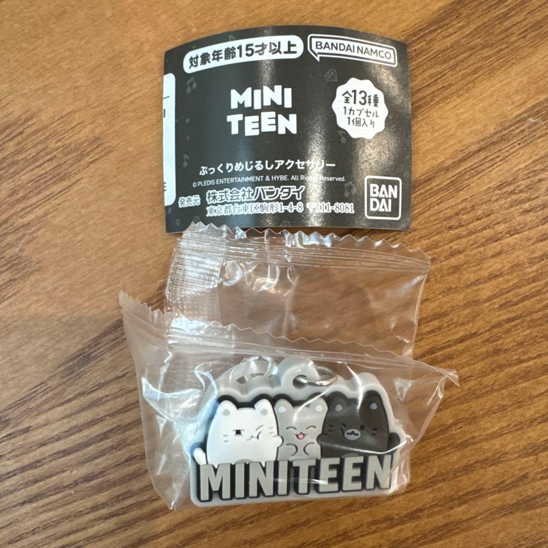 MINITEEN ぷっくりめじるしアクセサリー - メルカリ