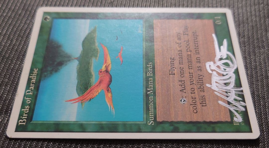 mtg 稀少 サインド 英語版 極楽鳥 4th 4ed 4版