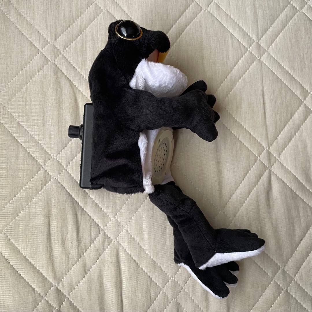 GLAY HISASHI ケロヒサシ コケロミン カエル