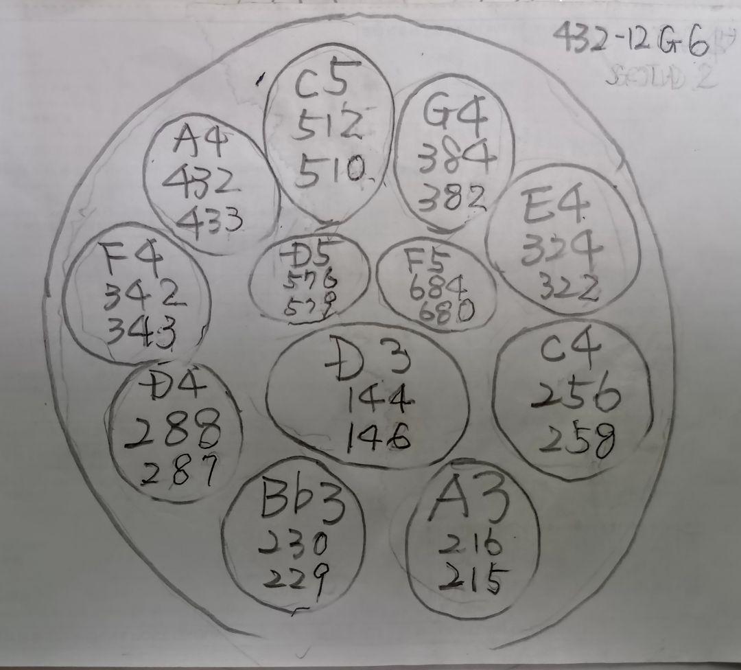 ハンドパン 56センチ 12音 A＝432Hz Dマイナー 品の良いゴールド 楽器