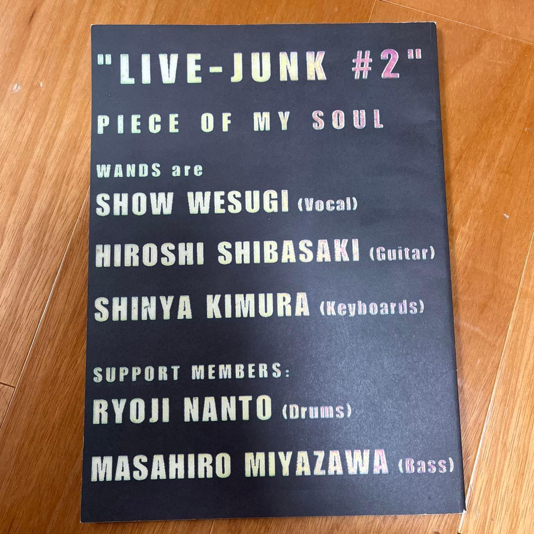 WANDS LIVE-JUNK #2 ライブ パンフレット