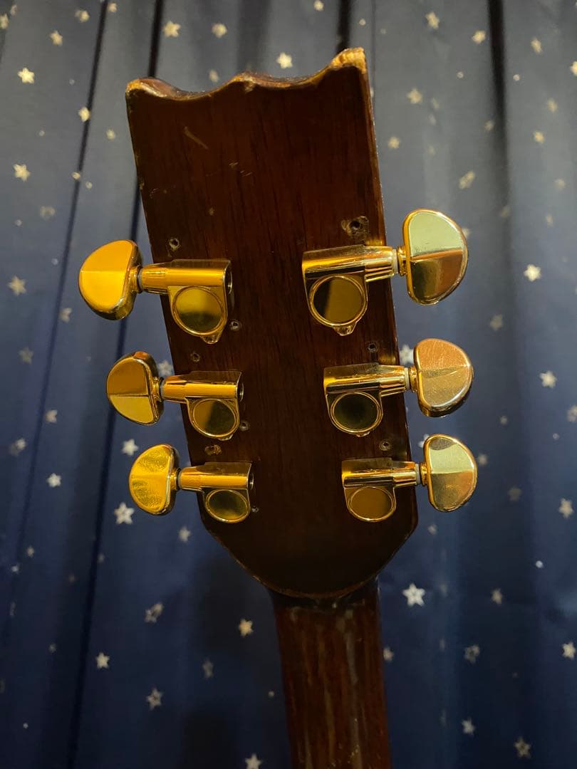 Suzuki Violin Les Paul Model (激レア)