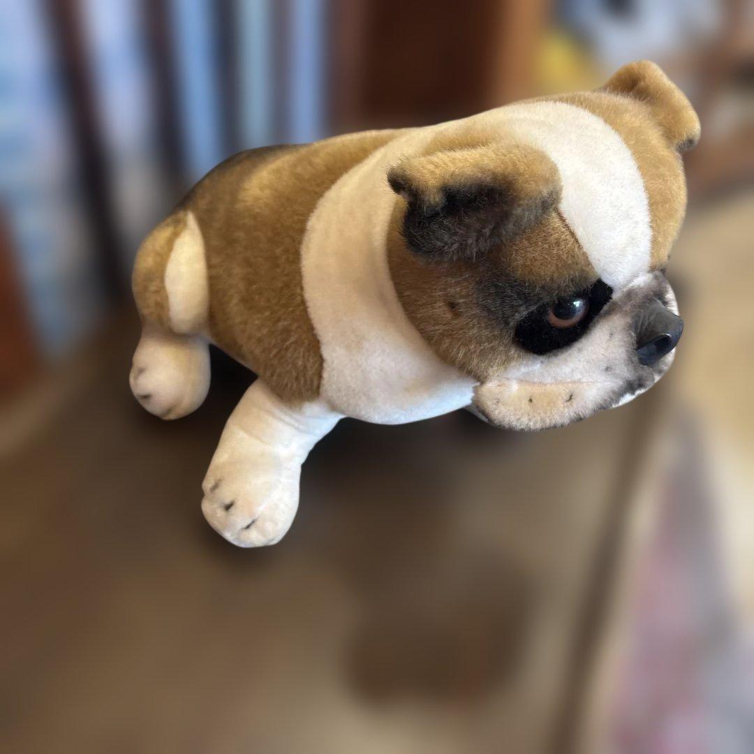 シュタイフ ブルドッグ　Snobby