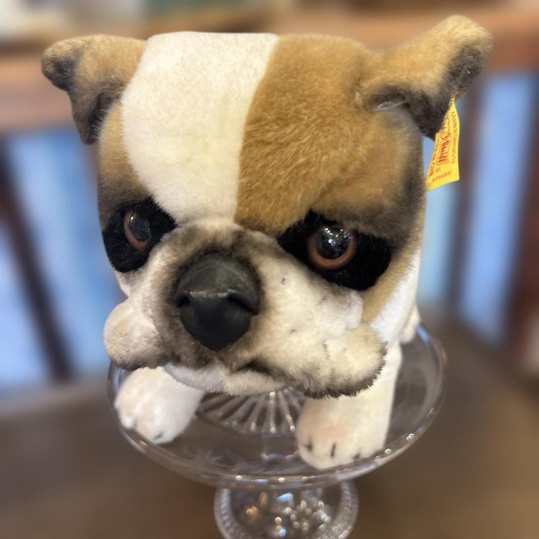 シュタイフ ブルドッグ　Snobby