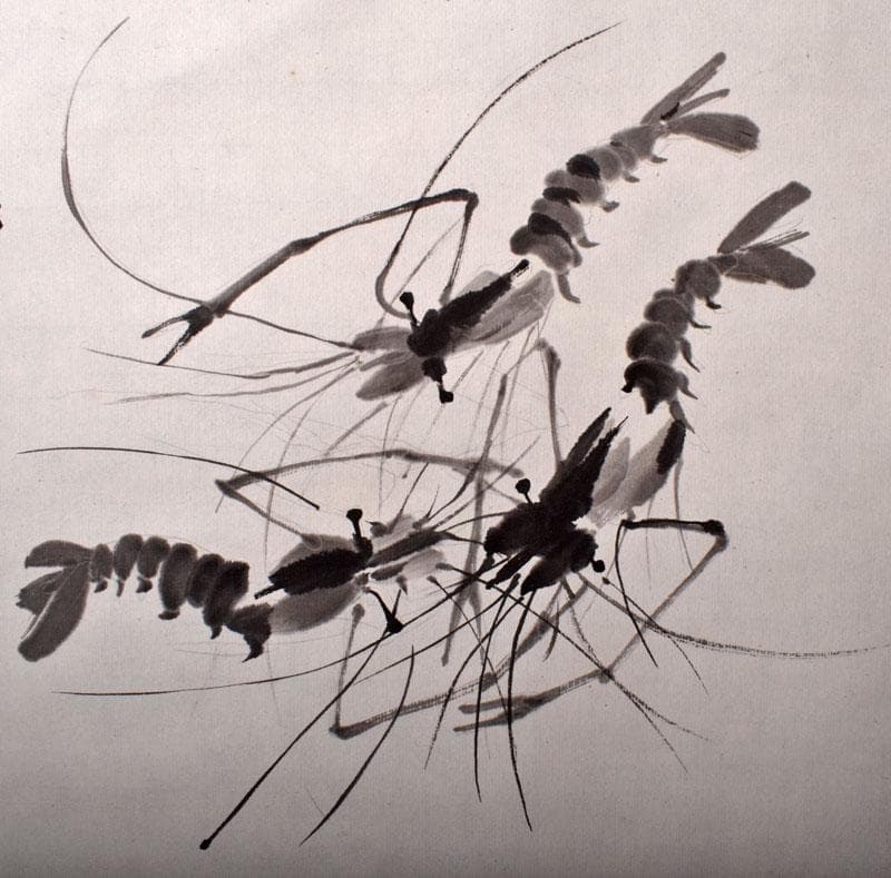 中国掛軸斉白石水墨画海老図C4142B 中国 掛軸 斉白石 水墨画 海老図 C