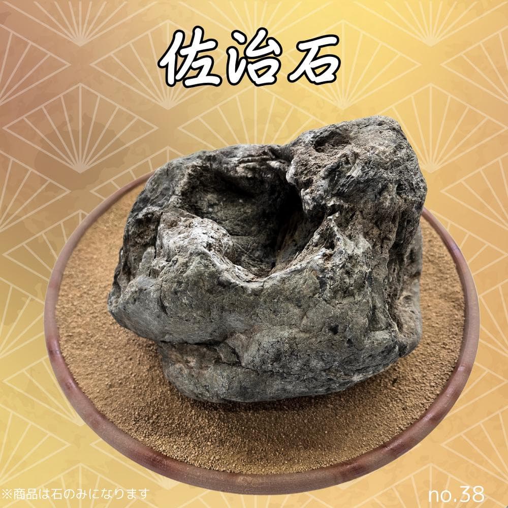 佐治石〈28〉【Taiyoメダカ】