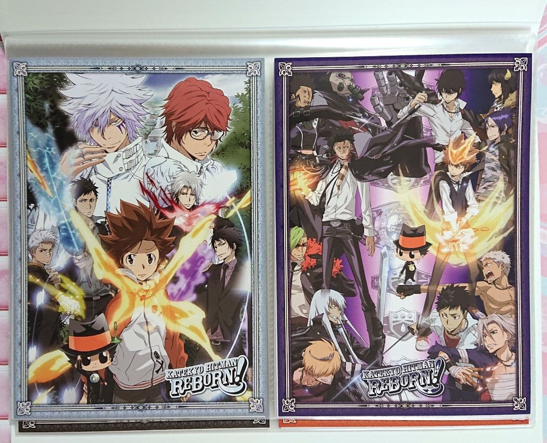家庭教師ヒットマンREBORN！ ファイル付きビッグポストカードセット