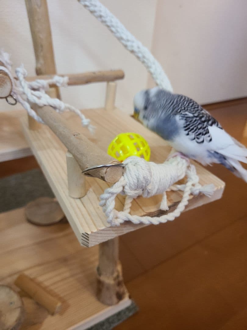 ⑤K25☆プロフ必読☆様専用ページ バードアスレチック ハンドメイド