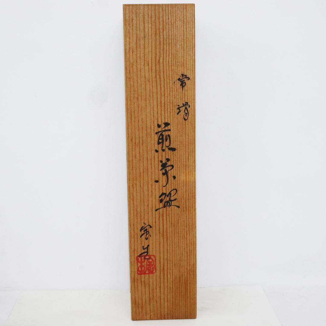 常滑焼 煎茶器5客 山田宝生 紅葉 陶歴 共箱