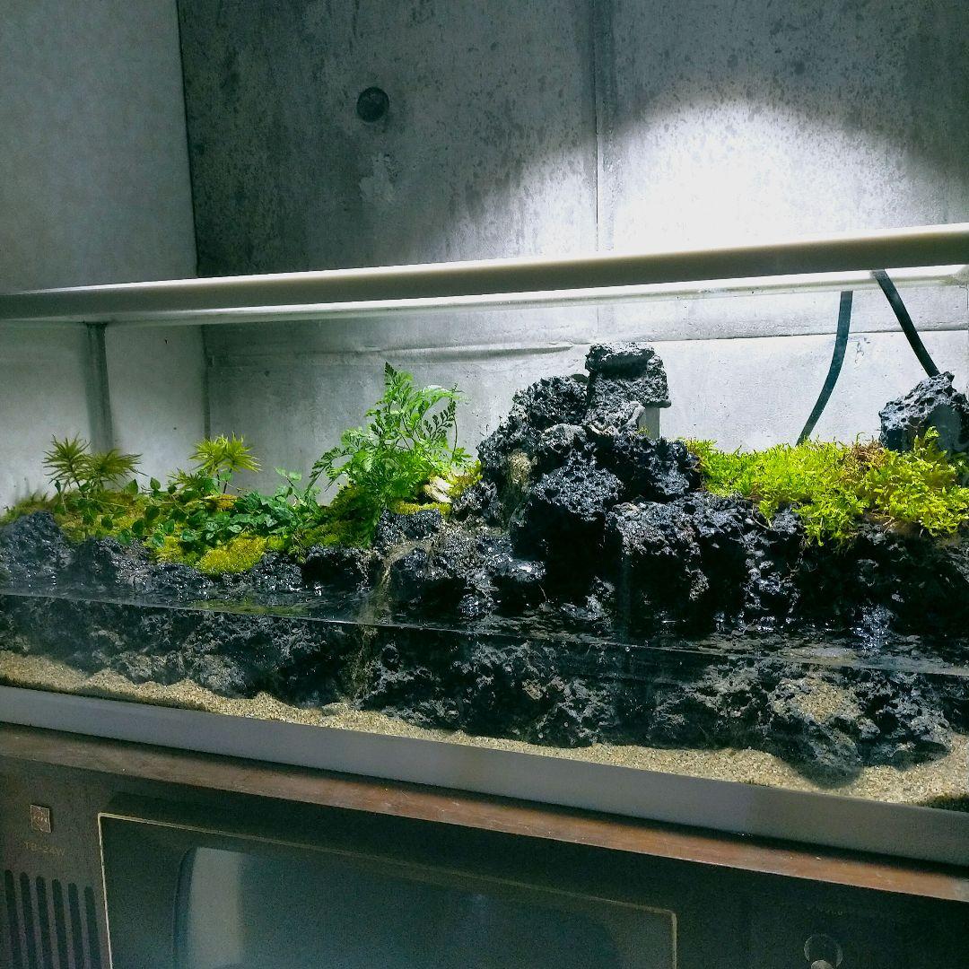 滝の流れるアクアテラリウム イモリウム No.1047