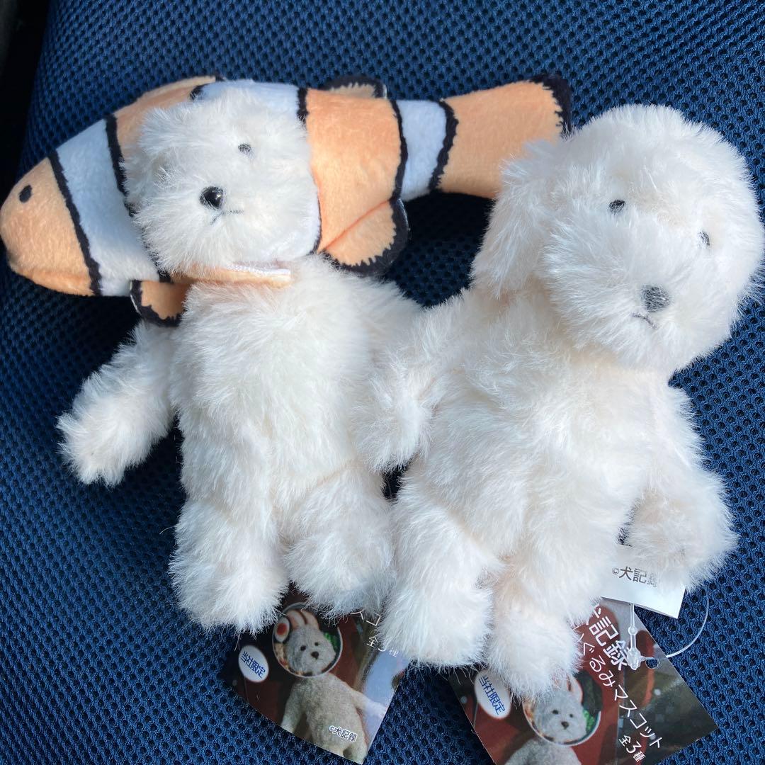 犬記録 ぬいぐるみ マスコット犬 ニモ クマノミ ノーマル 2種セット