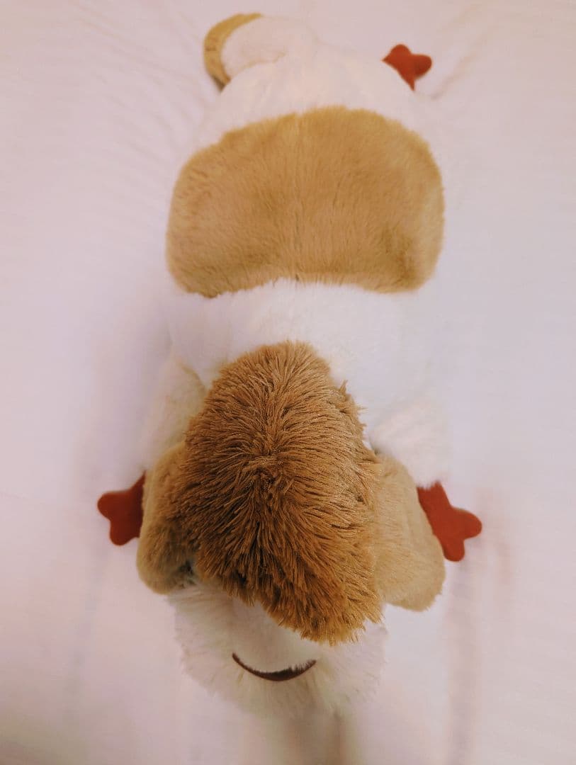 【新品タグ付き】ジブリパーク　ヒン　ぬいぐるみ　13人の魔女団