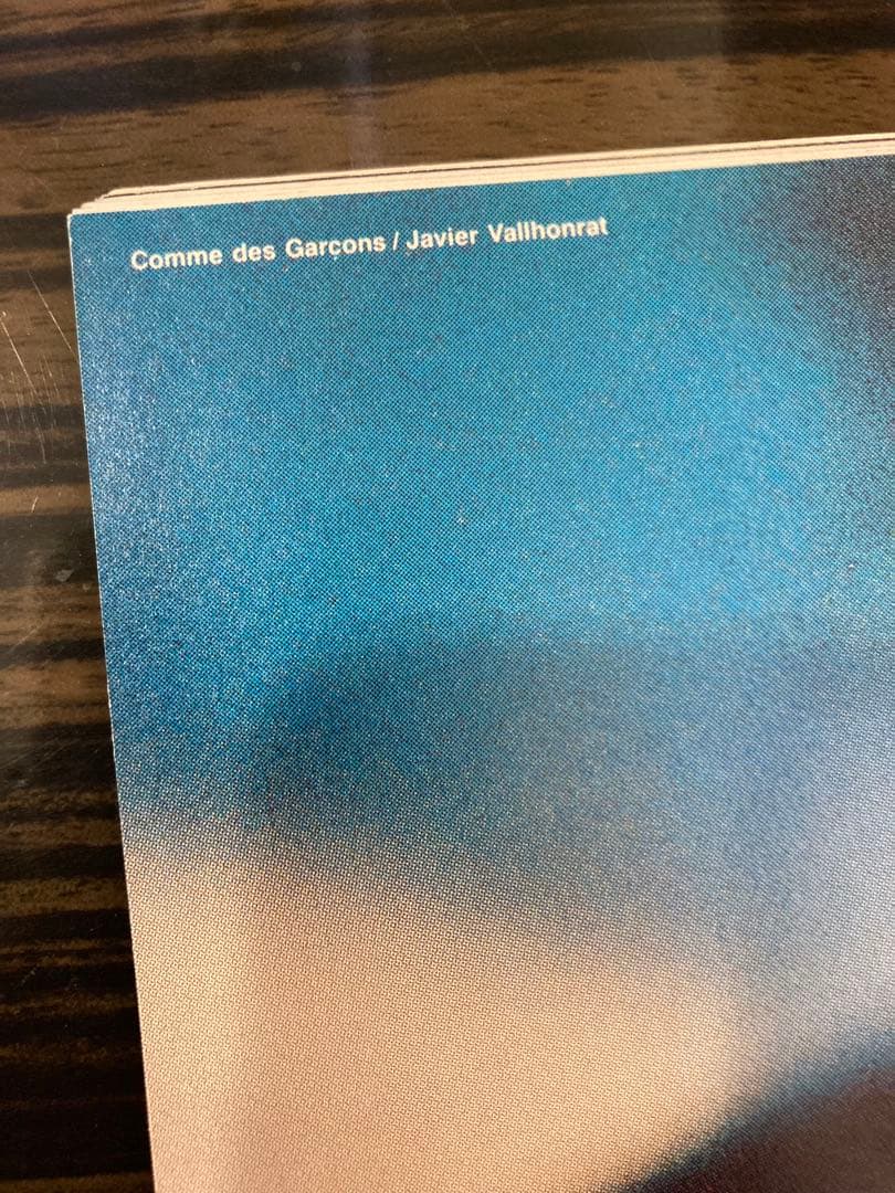 six 1991 コムデギャルソン　comme des garcons 写真集