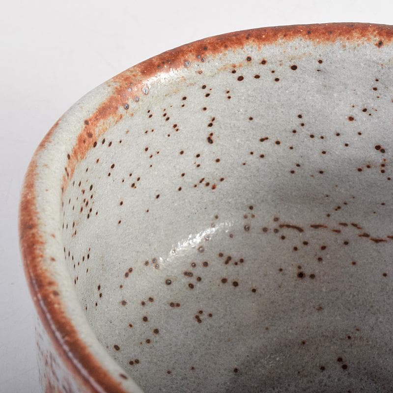 昇様専用 荒川豊蔵 桧垣芦ノ絵鼠志野茶碗 銘朗景即