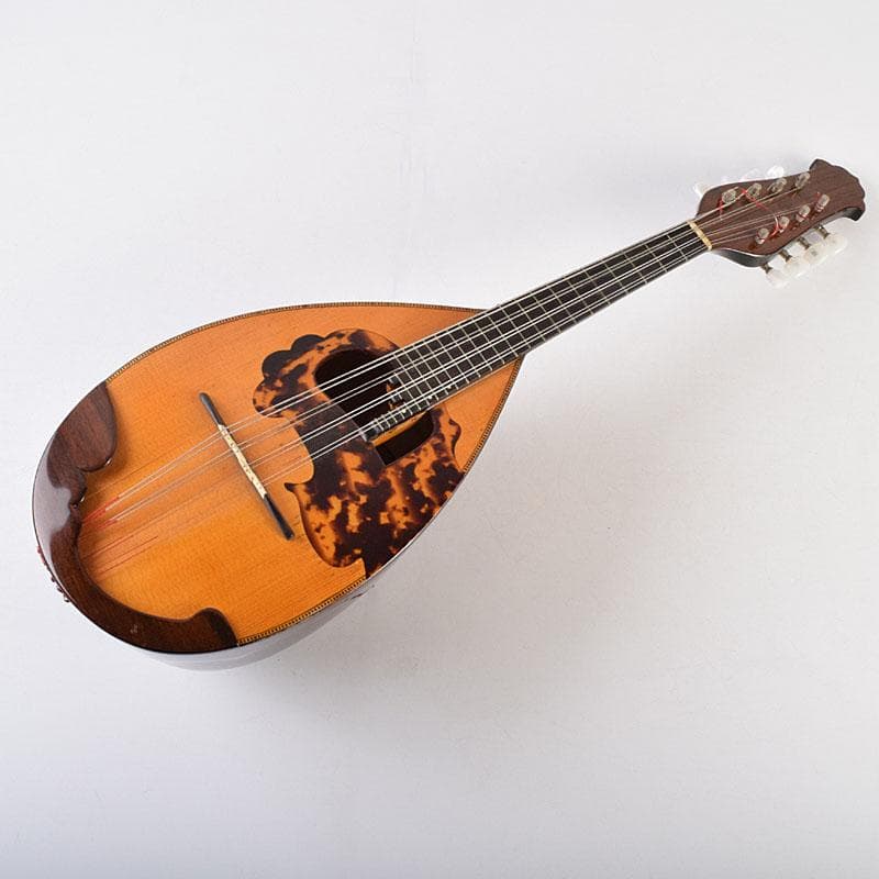 Rokutaro Nakade　中出六太郎　マンドリン　A70　M　R9222B