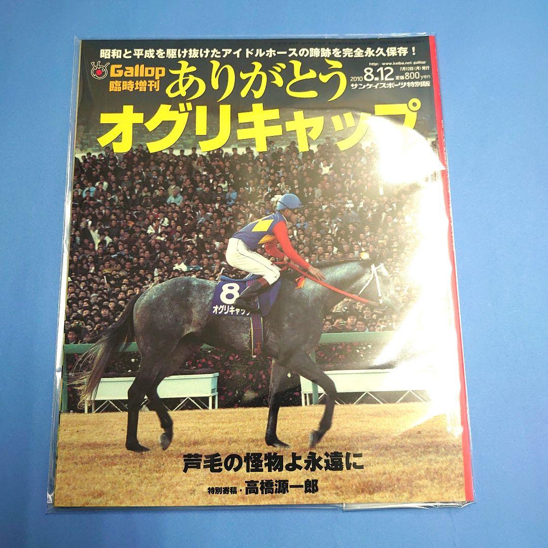 【稀少品】オグリキャップ ぬいぐるみ ウマ娘 アイドルホース 競馬 AVANTI