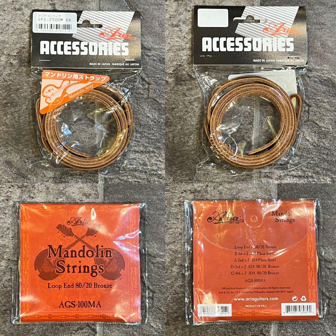 【新品未使用】フラットマンドリン ARIAアリアAM-20E 初心者11点セット