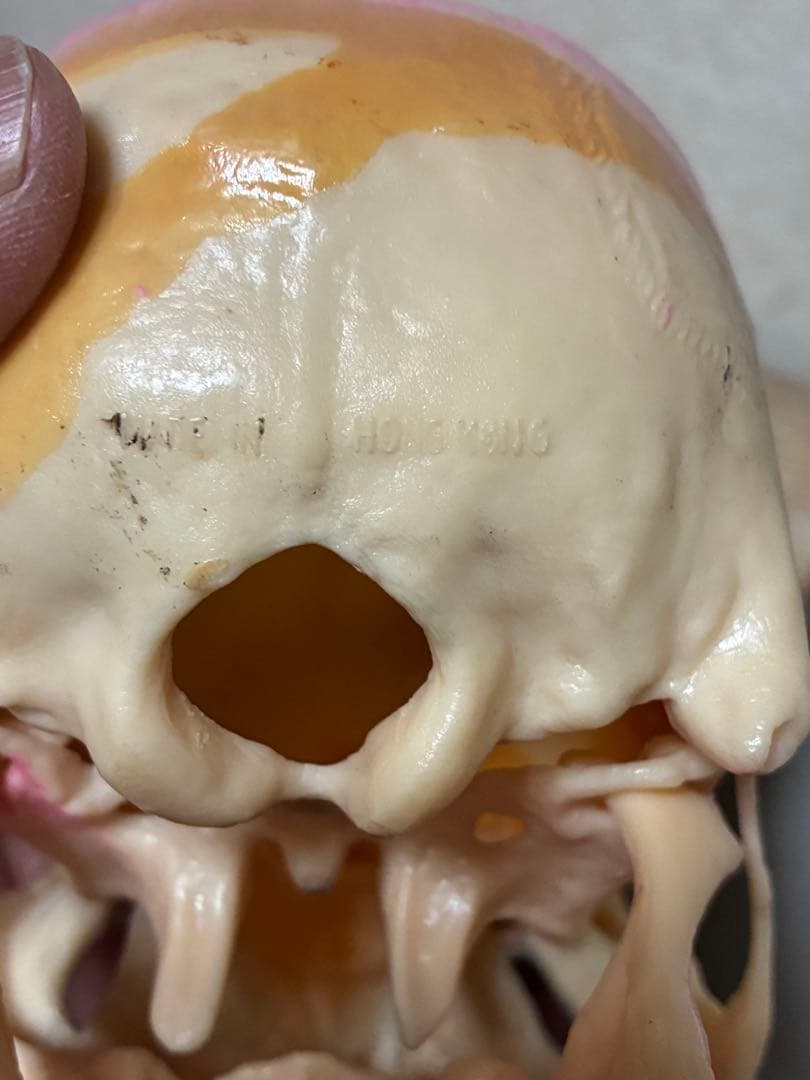 ビンテージ 60s スカル 髑髏 骸骨 死神 ハロウィン ホラー レトロ