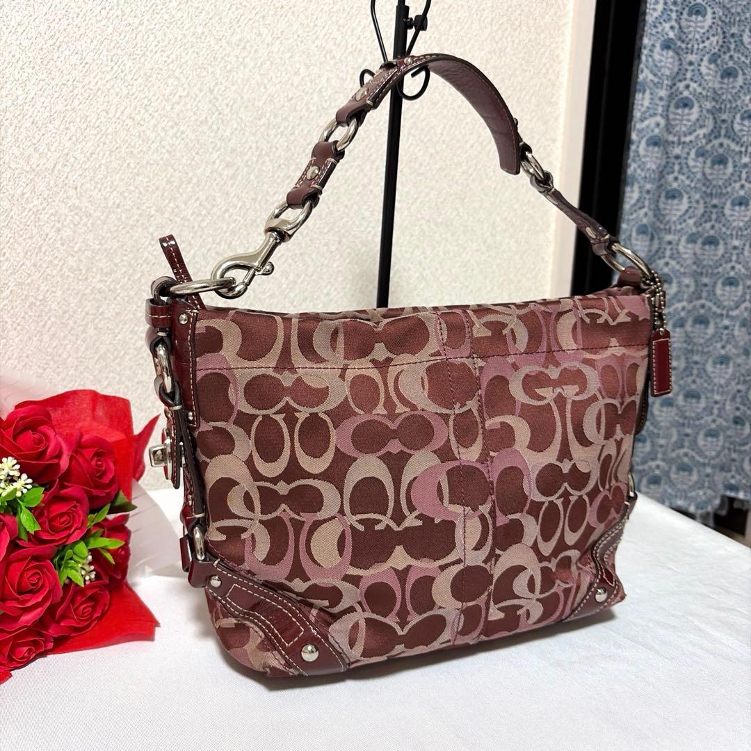 COACH curly 13980 red×pink signature BAG