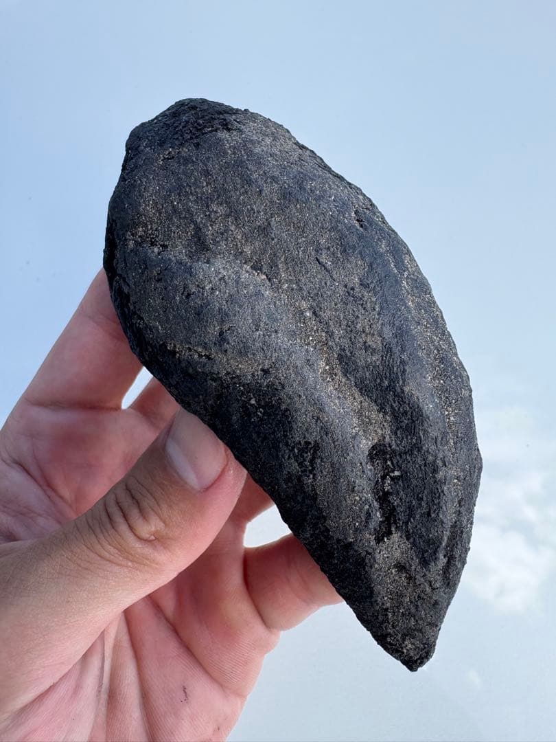 アロサウルス 化石 フットクロウ 恐竜 - メルカリ