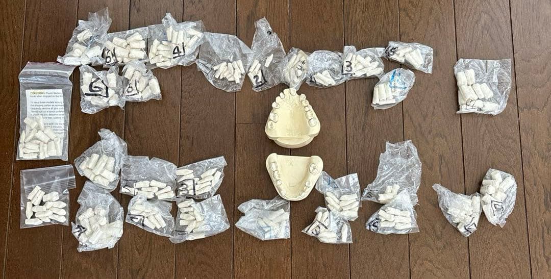 最終価格　歯科　支台歯形成　練習模型　セット