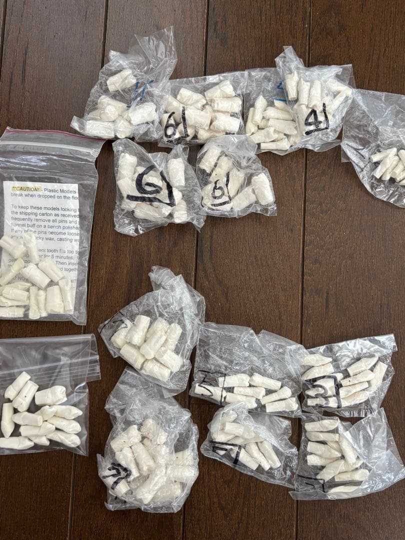 最終価格　歯科　支台歯形成　練習模型　セット