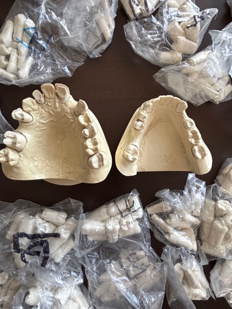 最終価格　歯科　支台歯形成　練習模型　セット