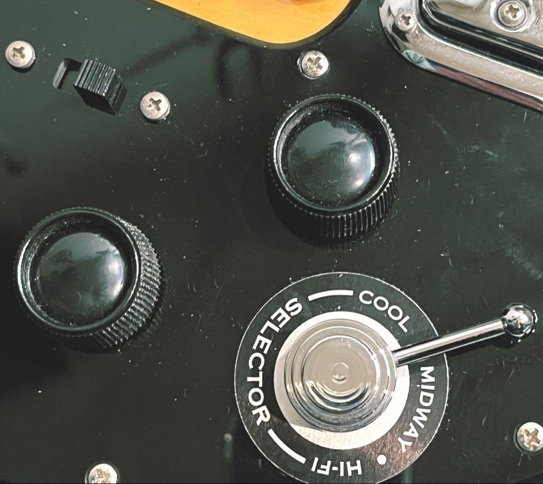 貴重 Maton Mastersound MS-500 ビートルズ