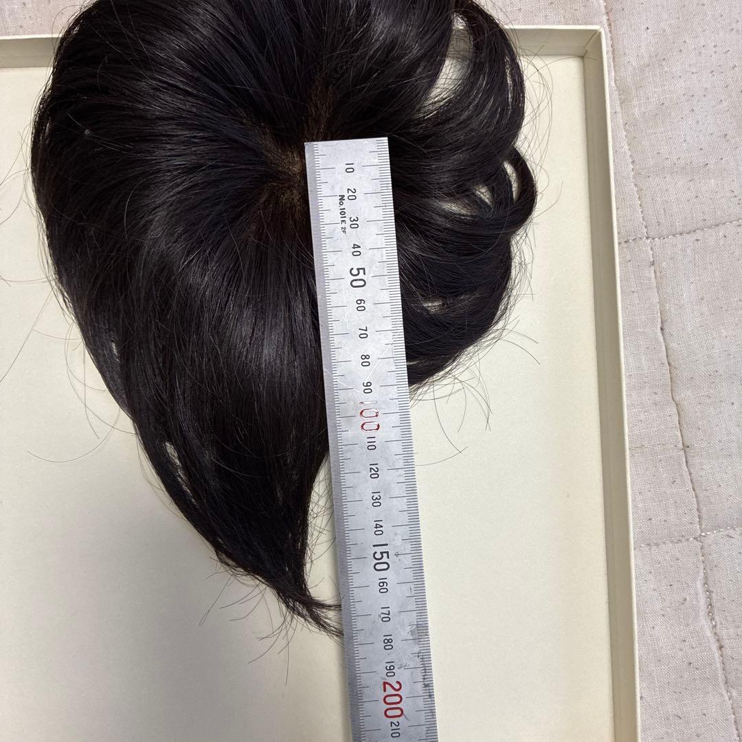 フォンテーヌ　ウィッグ