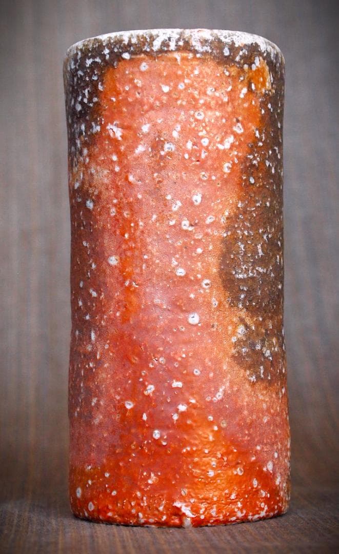 人気作家☆デレックラーセン☆窯変麦酒器☆穴窯 - メルカリ