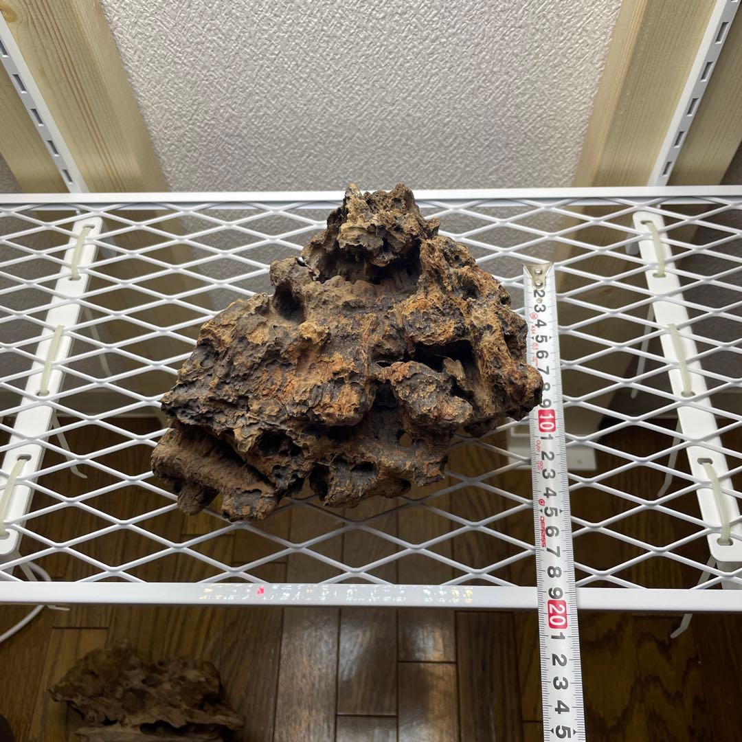 極上 スラウェシウッド 塊状流木 岩石