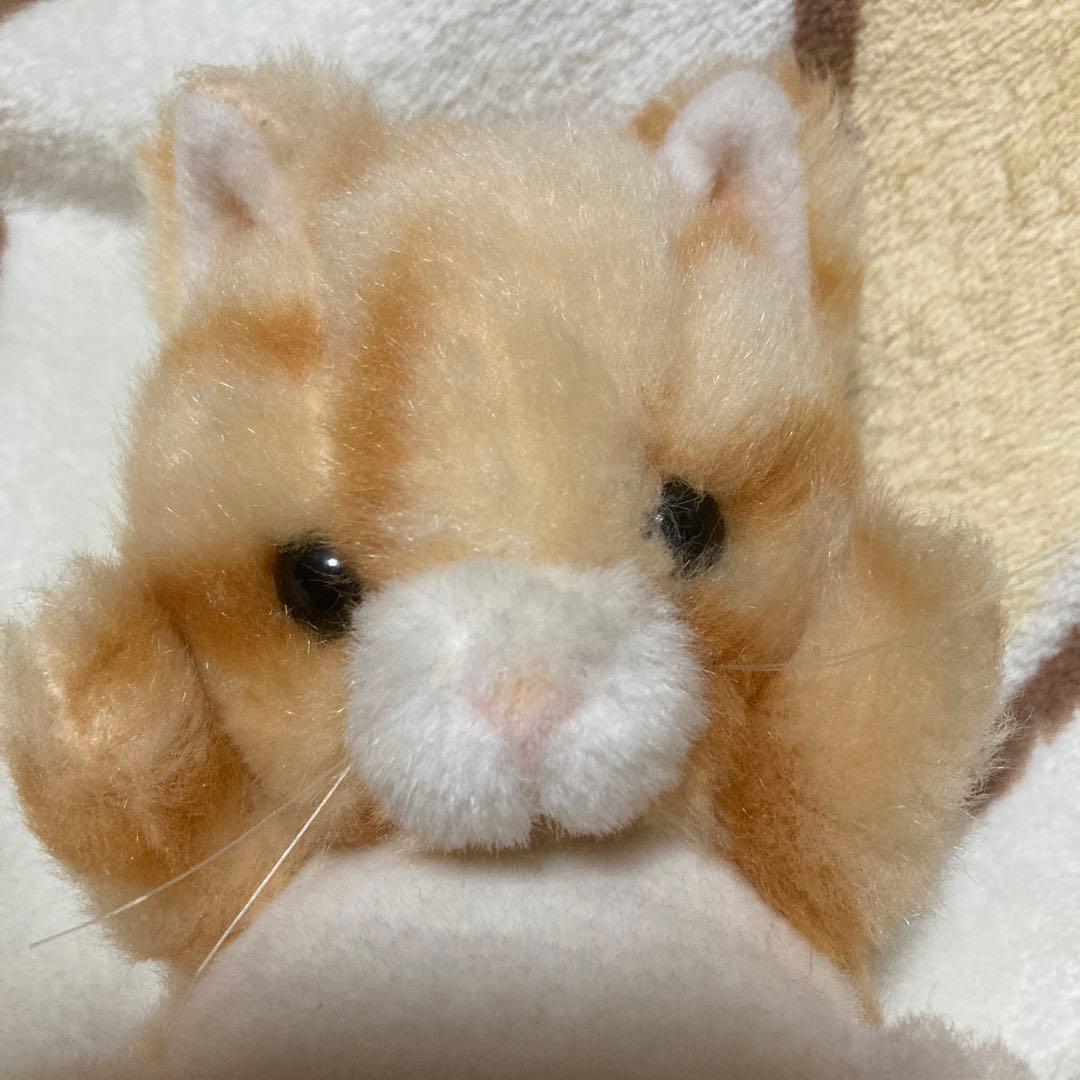 ファースト社　いたずら天使　ネコ　中古品　3コセット