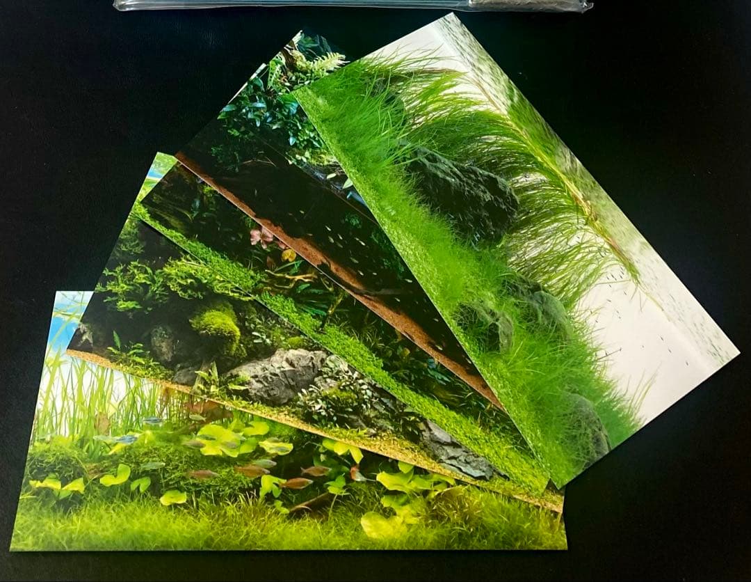 ADA社屋限定販売品＊ADA フォトフレーム アクアデザインアマノ