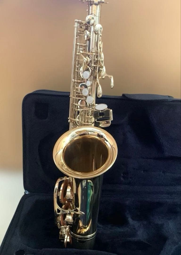 美品★アルトサックス　J.Michael AL-500 お手入れセットケース付き