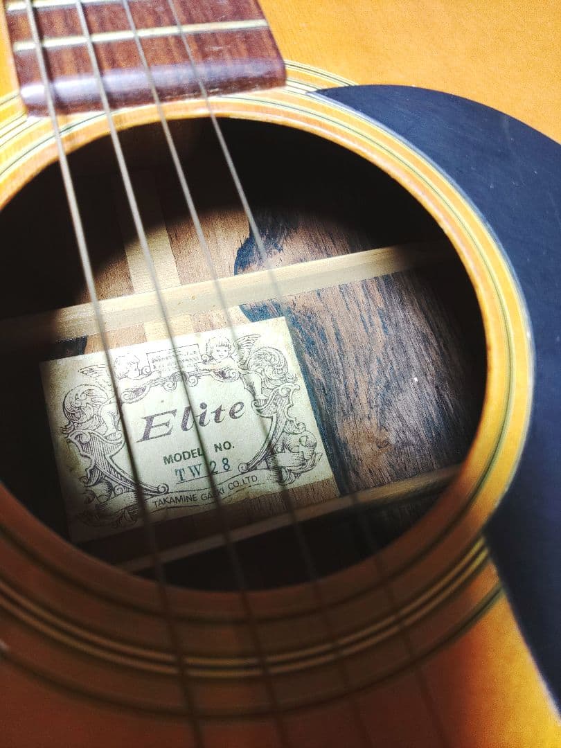 Takamine Elite TW-13 タカミネ Takamine Elite TW-28 エリートD-28