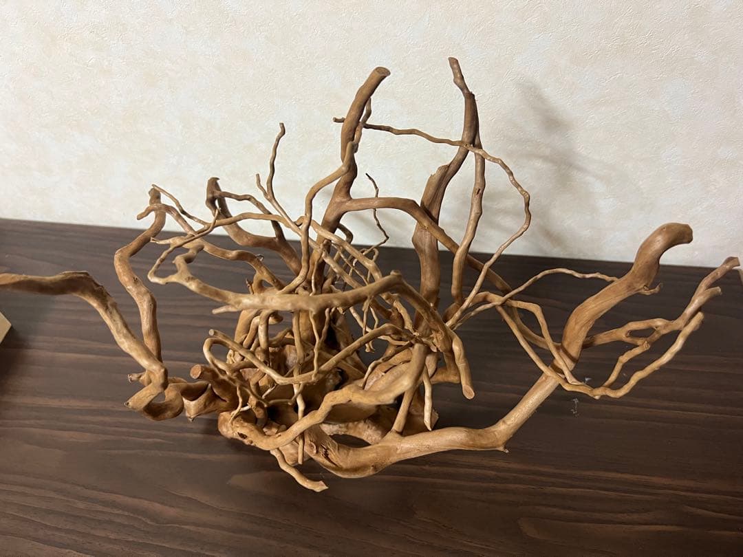 30211 ブランチウッド 流木 アクアリウム 沈水確認済