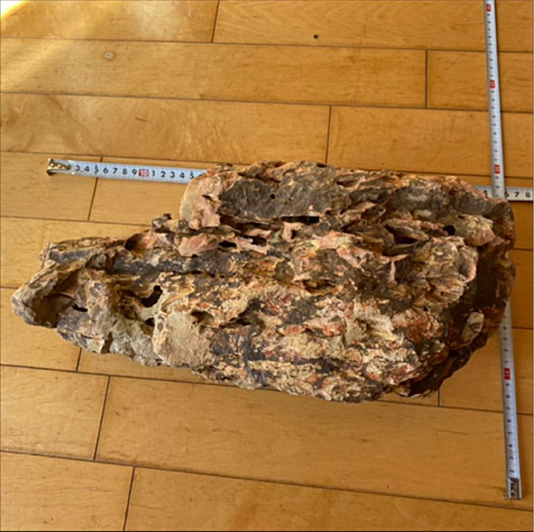 ADA 黄虎石 気孔石 40cm 超特大 親石