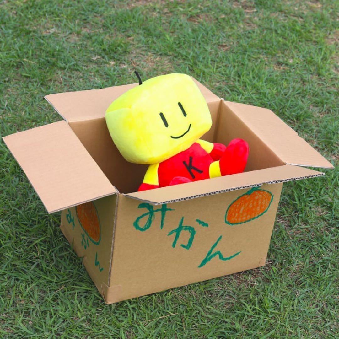 カイロくん ソフ子姫 ワイロくん BIG ぬいぐるみ 3点 カイロソフト ビッグ