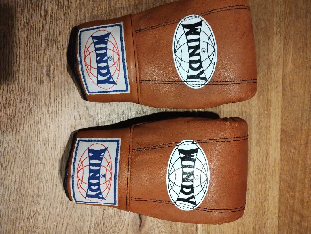 WINDY(ウィンディ)KP-6 キックミットムエタイ キックミット