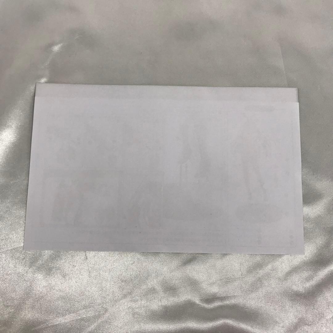 スカサハ 刺し穿つバニーVer. 「Fate/Grand Order」