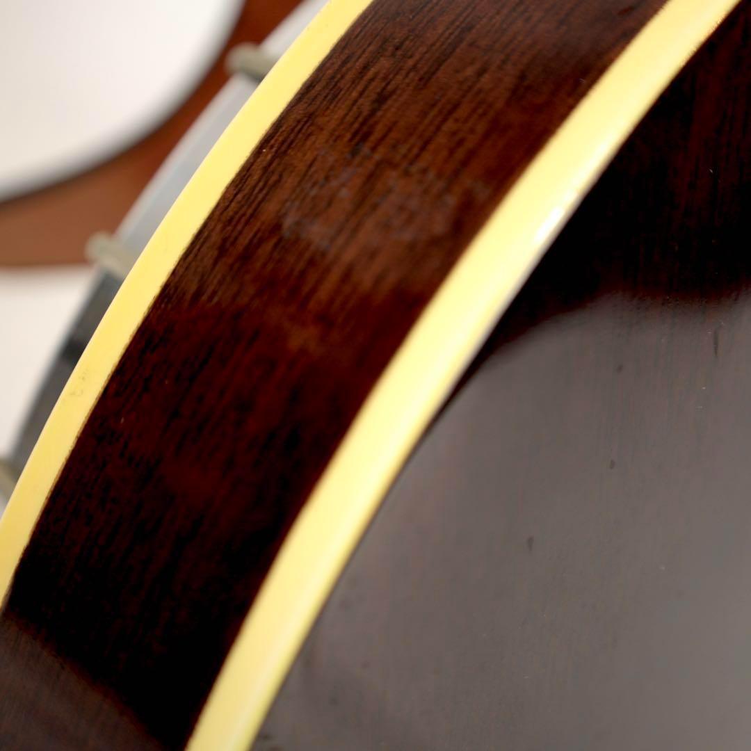 vine バンジョー fender Leo ヘッド リゾネーター ハードケース付