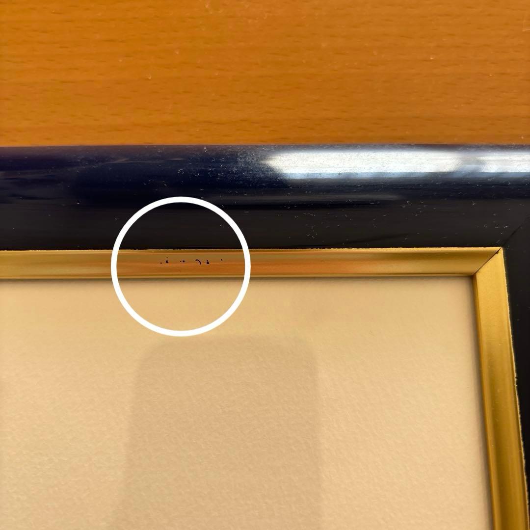 Seiji Fujishiro レフグラフ サイン入り【線香花火】 藤城清治