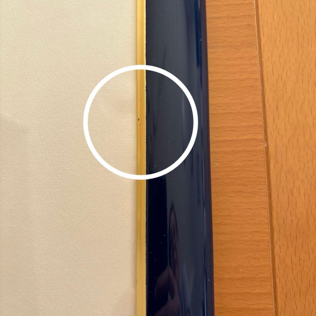 Seiji Fujishiro レフグラフ サイン入り【線香花火】 藤城清治