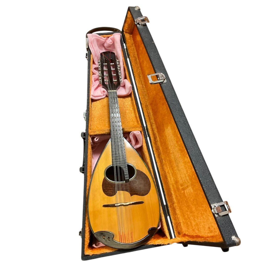 現状品】SUZUKI M-30 マンドリン スズキ ハードケース付き - メルカリ