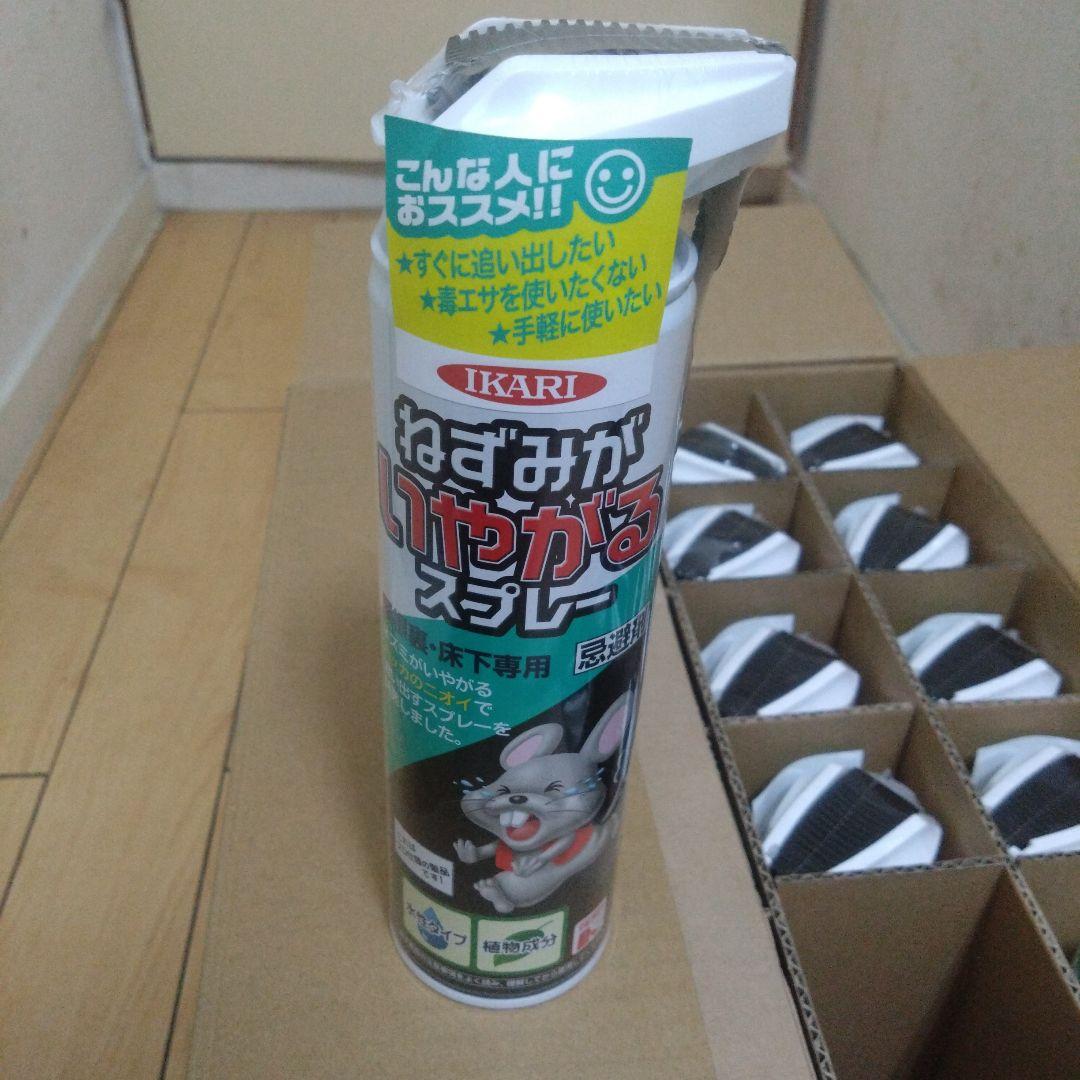 リュウキュウオオイチモンジシマゲンゴロウ 15匹（西表10、石垣5