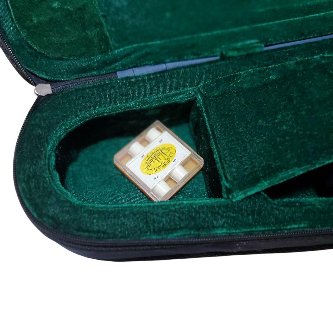 Hallstatt EV-30 エレキバイオリン セット