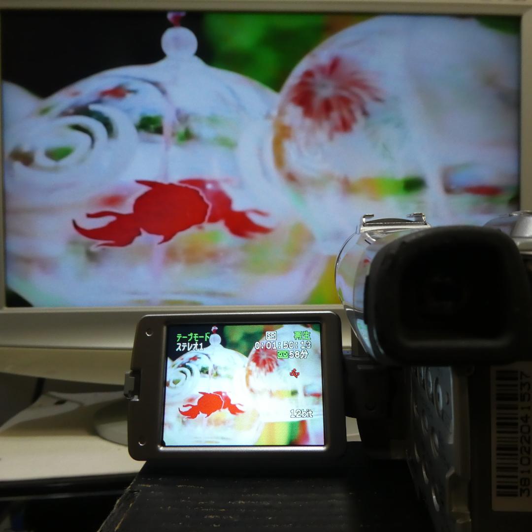 美品・動作良好 キャノン DM-FV M200 MiniDVビデオ DVD化に