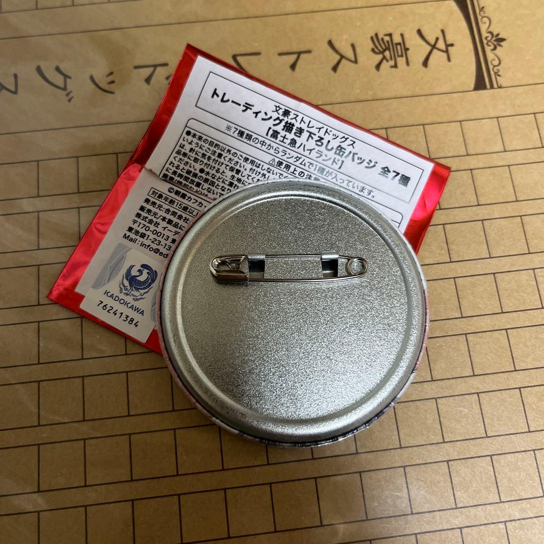 文豪ストレイドッグス 文スト 富士急ハイランド コラボ 缶バッジ 泉