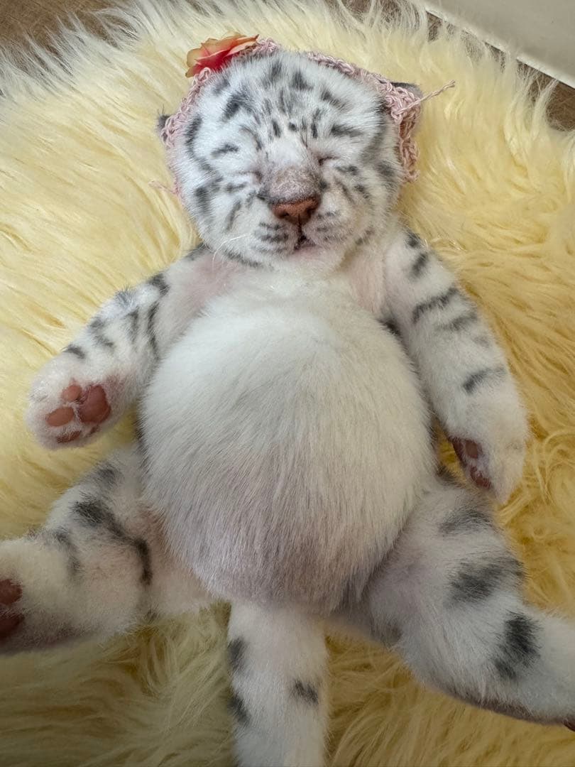 海外作家様作 アートドール ホワイトタイガーの子供｜海外作家様作 アート